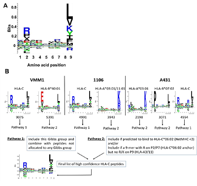 A transgenic mouse allows to capture the HLA-C*06:02 immunopeptidome in a model of psoriasis