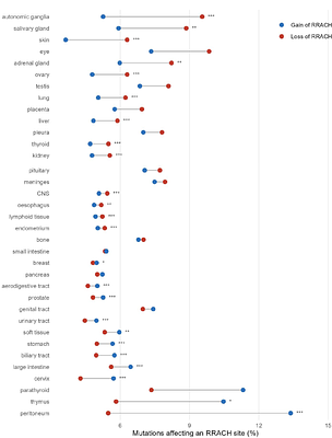 Synonymous codon usage is biased for and against m⁶A RRACH motifs in mammals