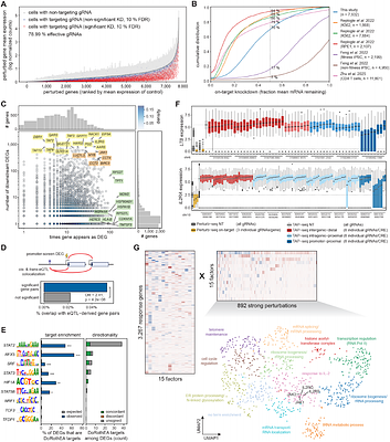 Genome-scale mapping of variant, enhancer and gene function in primary human CD4+ T cells