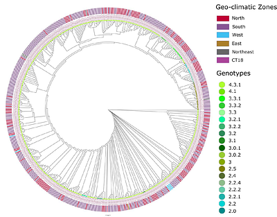 Genomic sequencing should extend to diverse priority pathogens for effective study and surveillance of antimicrobial resistance: a systematic review of whole-genome sequencing studies from India