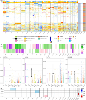 The Copy-Number Events in Skull Base Chordoma Stratify Tumours into Four Biologically Coherent Groups