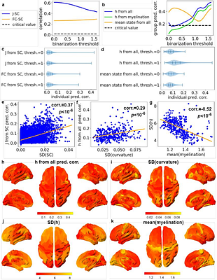 Personalized whole-brain Ising models with heterogeneous nodes capture differences among brain regions