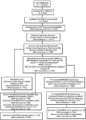 Retinal nerve fibre layer thickness reflects characteristics of brain grey and white matter