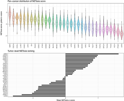 Pan-cancer NET-associated immunothrombosis coupling identifies a neutrophil-linked but neutrophil-irreducible tumor ecology