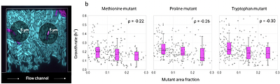When less is not more: Limits to the evolution of metabolic dependence in spatially structured microbial communities
