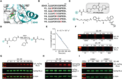 Ultrasmall chemogenetic tags with group-transfer ligands