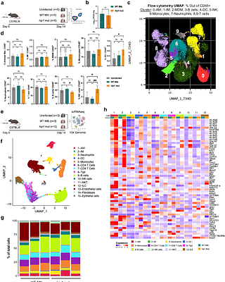 Title: Multimodal profiling reveals Mycobacterium tuberculosis restricts lung mitochondrial immunometabolism to promote pathogenesis