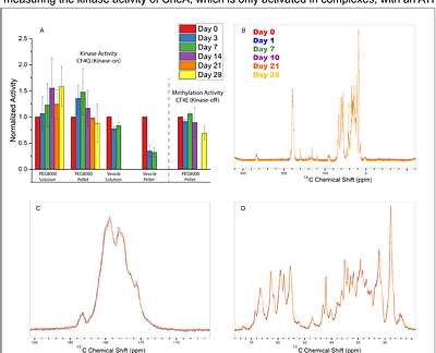 Selective Detection of a Key Region in Chemotaxis Signaling Protein Complexes by Solid-State NMR