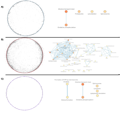 Energetic misfires: Hybridization drives transgressive expression in metabolic pathways in thermally divergent Icelandic stickleback