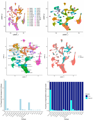 3D organoids containing endothelial and neural cells generation by serial inductions of differentiation on human iPSC-derived embryoid bodies