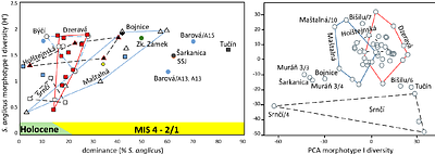 Phenotype diversity and extinction dynamics of the European Narrow-Headed Vole, Stenocranius anglicus (Hinton, 1910) (Arvicolinae, Cricetidae, Rodentia), in Central Europe.
