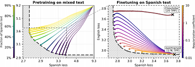 Forgetting in Language Models: Capacity, Optimization, and Self-Generated Replay