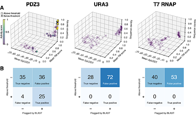 Experimental Evaluation of AI-Driven Protein Design Risks Using Safe Biological Proxies