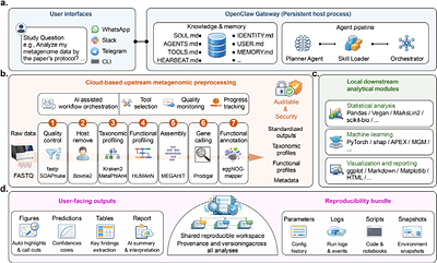 MetaClaw: an auditable AI agent for end-to-end, multi-directional metagenomic and multi-omics analysis
