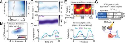 Canonical recurrent neural circuits: A unified sampling machine for static and dynamic inference