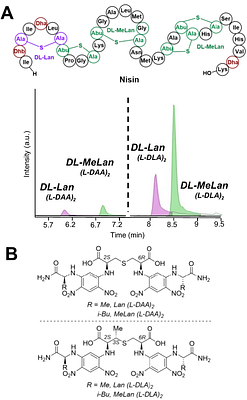 A Facile Method for Determining Lanthipeptide Stereochemistry