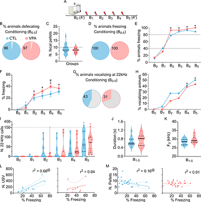 Altered Stress and Fear Responses in the VPA Rat Model of Autism: Behavioral Dissociation Across Tactile, Nociceptive, and Social Contexts