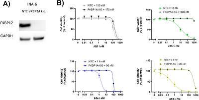 Heterobifunctional Protein Binders Enable Cell Type-Specific Killing Through In-cell Enrichment