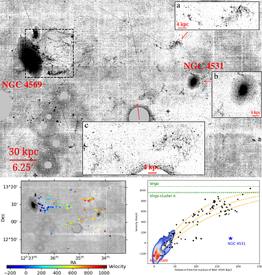 A Virgo Environmental Survey Tracing Ionised Gas Emission (VESTIGE).
  XIX. The discovery of a spectacular 230 kpc Halpha tail following NGC 4569 in
  the Virgo cluster