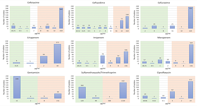 Bridging disciplines towards wastewater-based surveillance of antimicrobial resistance: frequency, local dynamics, and genomic characteristics of carbapenemase-producing Klebsiella pneumoniae