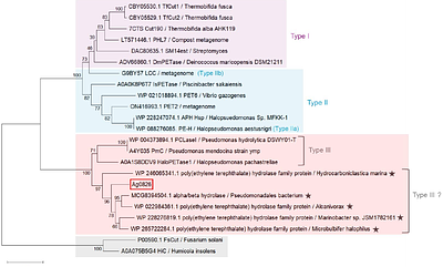 Identification and characterization of a poly(ϵ-caprolactone)-degrading enzyme with a unique sequence profile from the marine bacterium Alloalcanivorax gelatiniphagus