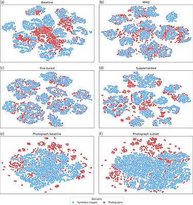 Leveraging synthetic data produced from museum specimens to train adaptable species classification models