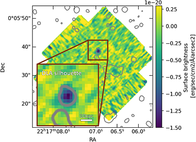 The first direct imaging of the silhouette of a damped Lyman $α$
  system along the line-of-sight to a background galaxy