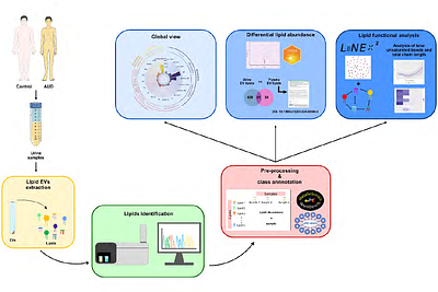Deciphering lipidomics landscape of urine extracellular vesicles in alcohol use disorder patients