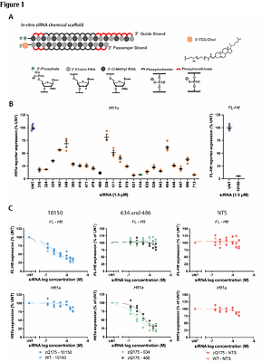 Lowering the HTT1a transcript as an effective therapy for Huntingtons disease
