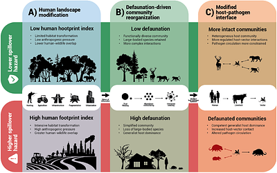 Beyond biodiversity loss defaunation: cascades effects in zoonotic disease ecology