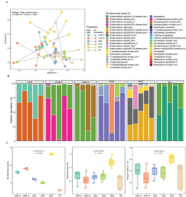 Nodule microbiome functions shape the performance of a wild perennial legume