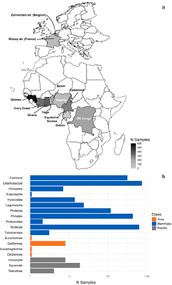 Advancing global DNA-referencing of bushmeat in African tropical forests: a tool for identifying trade hotspots and dynamics in western and central Africa
