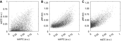 Assessing analysis methods of brain synchrony in social interaction: Simulation-based comparison