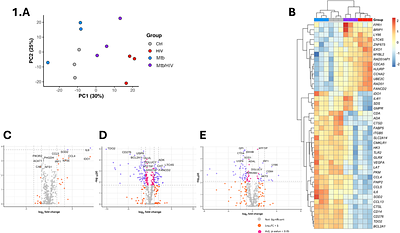 HIV inhibits Warburg metabolism in human macrophages infected with Mycobacterium tuberculosis.