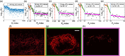 Signal Detection of Point Targets Using Eigen-Images for Super-Resolution Ultrasound Imaging and Gas Vesicle Localization