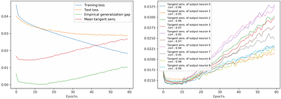 Optimization dependent generalization bound for ReLU networks based on
  sensitivity in the tangent bundle