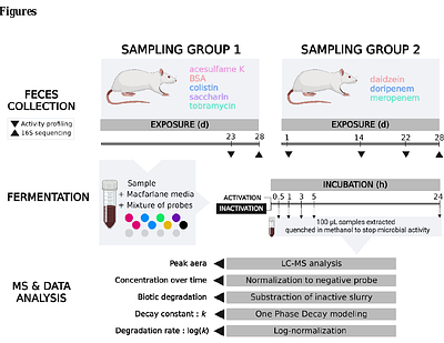 Chemical activity profiling reveals how exposure to drugs or dietary compounds alters gut microbial biotransformation capacity