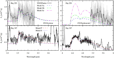 JWST Medium-Resolution Infrared Spectroscopy of SN 2022acko: Tracing Molecule Formation in the Nebular Phase
