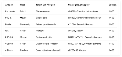 Optimizing Tissue Clearing Methods for Improved Imaging of Whole-Mount Retinas