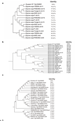 NLR from soybean Rsv1 locus confers broad-spectrum resistance to soybean mosaic virus G1-G7 strains by recognizing viral P3 protein