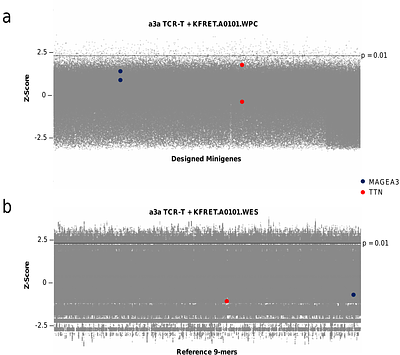 Comprehensive Functional Self-Antigen Screening to Assess Cross-Reactivity in a Promiscuous Engineered T-cell Receptor