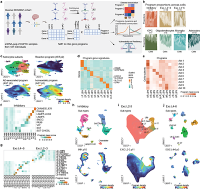 Early neuronal reprogramming and cell cycle reentry shape Alzheimer's disease progression