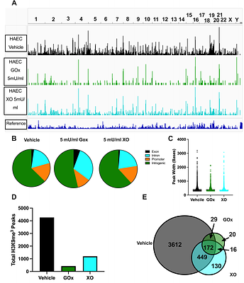 Liver-Derived, Circulating Xanthine Oxidoreductase Drives Vascular Impairment Associated with Inhalation of Ultrafine Particulates.