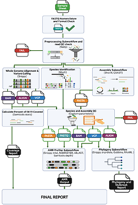 neissflow: Streamlining Genomic Epidemiology of Neisseria gonorrhoeae with Nextflow