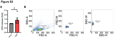Evasion of CARD8 Activation During HIV-1 Assembly