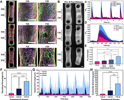 Multi-Modal photoFRESH: Light-Pipe Embedded Printing of Heterogeneous Hydrogel and Tissue Architectures