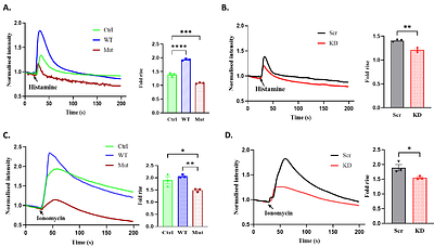 A neuropsychiatric disease-associated mutation in LRRC8B disrupts cellular calcium signaling, mitochondrial function, and bioenergetics