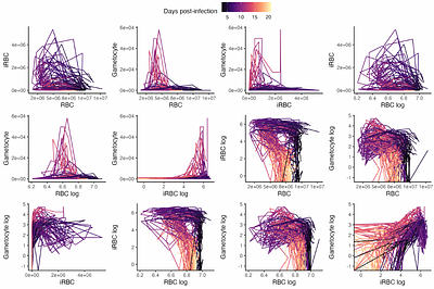 Optimal cues for transmission investment in malaria parasites