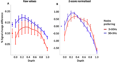 Ultra-high field fMRI reveals functional patterns consistent with columnar organisation in human somatosensory cortex