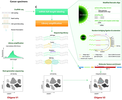 Identification of Multi-landscape and Cell Interactions in the Tumor Microenvironment through High-Coverage Single-Cell Sequencing